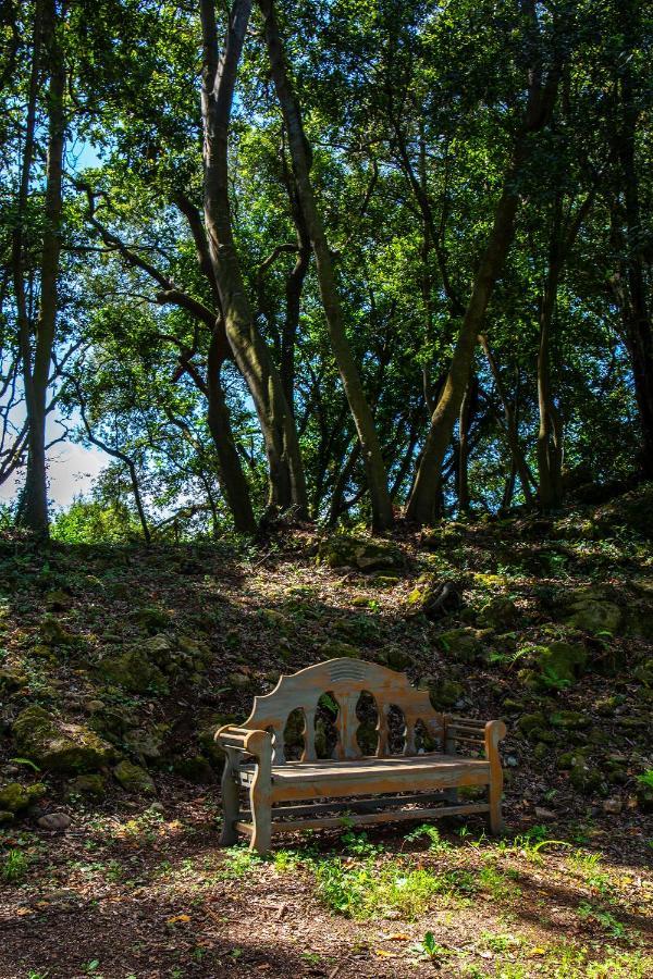 Vibe Luxury Cabins アルヌエロ エクステリア 写真