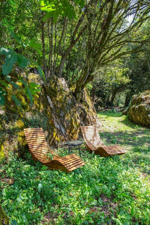 Vibe Luxury Cabins アルヌエロ エクステリア 写真